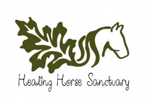 healinghorse22