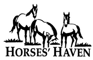 HorsesHaven